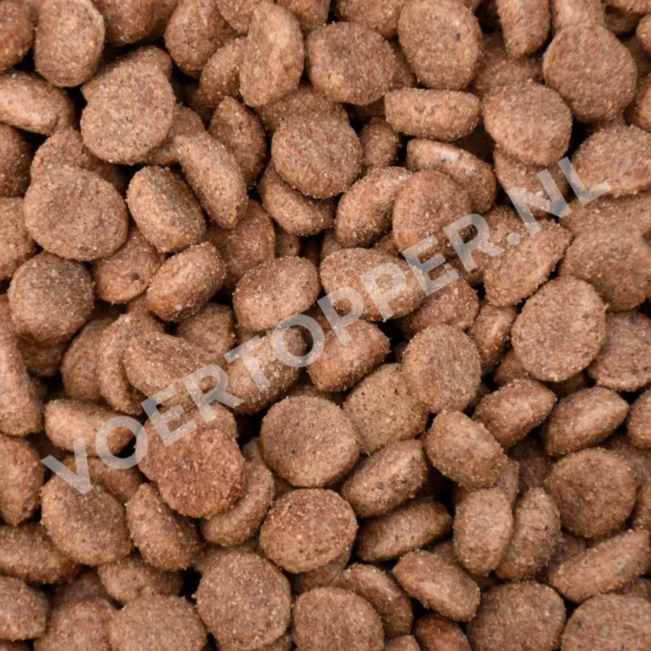 Brokjes van Champ Premium Lam & Rijst van dichtbij