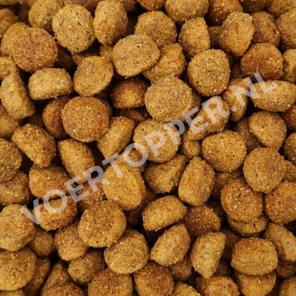 Brokjes van Champ Premium Senior Light van dichtbij